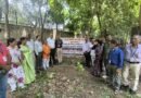 *गढ़वाल हितैषिणी सभा ने हरेला पर्व पर किया वृक्षारोपण:-*-