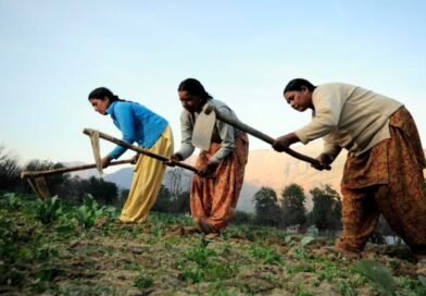 कृषि सखी” पहल से महिला किसानों को नई पहचान, सशक्तिकरण और समावेशी विकास की ओर बड़ा कदम
