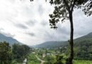 भीड़ से दूर, प्रकृति के करीब: उत्तराखंड का खूबसूरत पर्यटन रत्न रथुवाढाब”