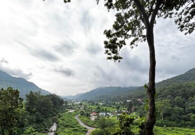 भीड़ से दूर, प्रकृति के करीब: उत्तराखंड का खूबसूरत पर्यटन रत्न रथुवाढाब”