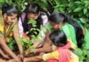 भीषण गर्मी से निपटने के लिए सरकार का बड़ा अभियान: हर शहर में बढ़ेगी हरियाली, सामुदायिक वृक्षारोपण पर विशेष जोर
